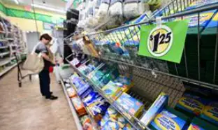Consumer Behavior Shifts | Woman Shopping at Dollar Store