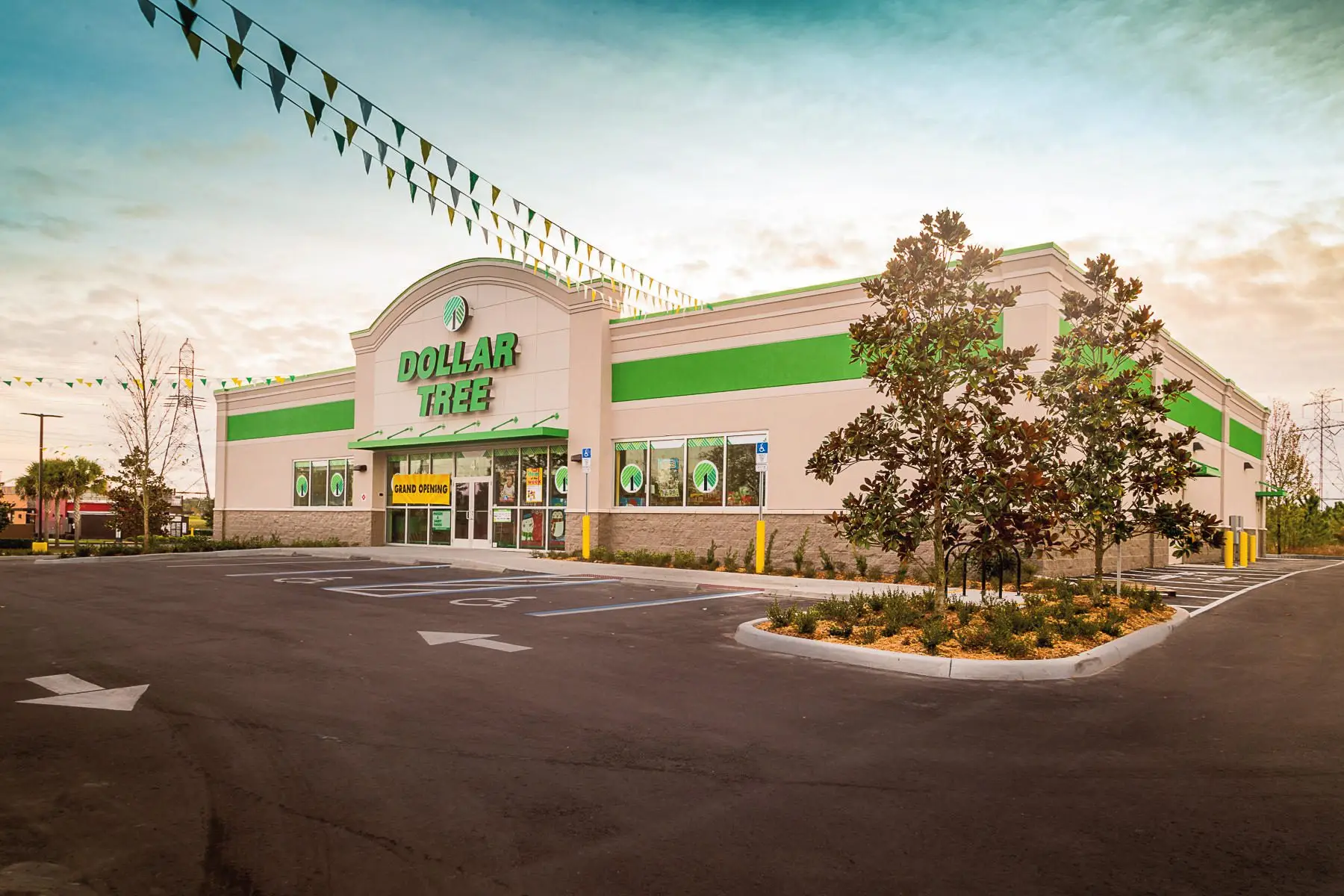 How Dollar Tree Beat Tariff Pressures | Image of Dollar Tree Store